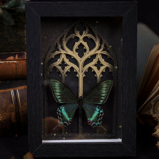 Papilio Maaki in a black 3D frame with a Gothic background | 18 x 13 cm