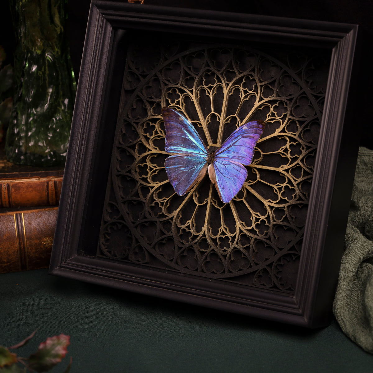 Morpho adonis im Rahmen – Schmetterling auf gotischem Kathedralhintergrund