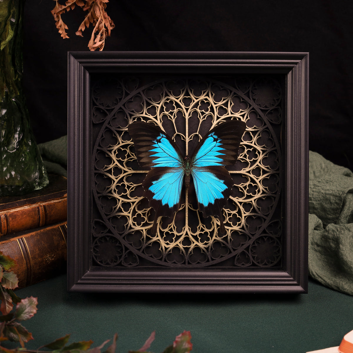 Papilio ulysses im schwarzen Rahmen vor einem 3D-Kathedralmotiv mit goldfarbener Mitte und schwarzem Hintergrund.