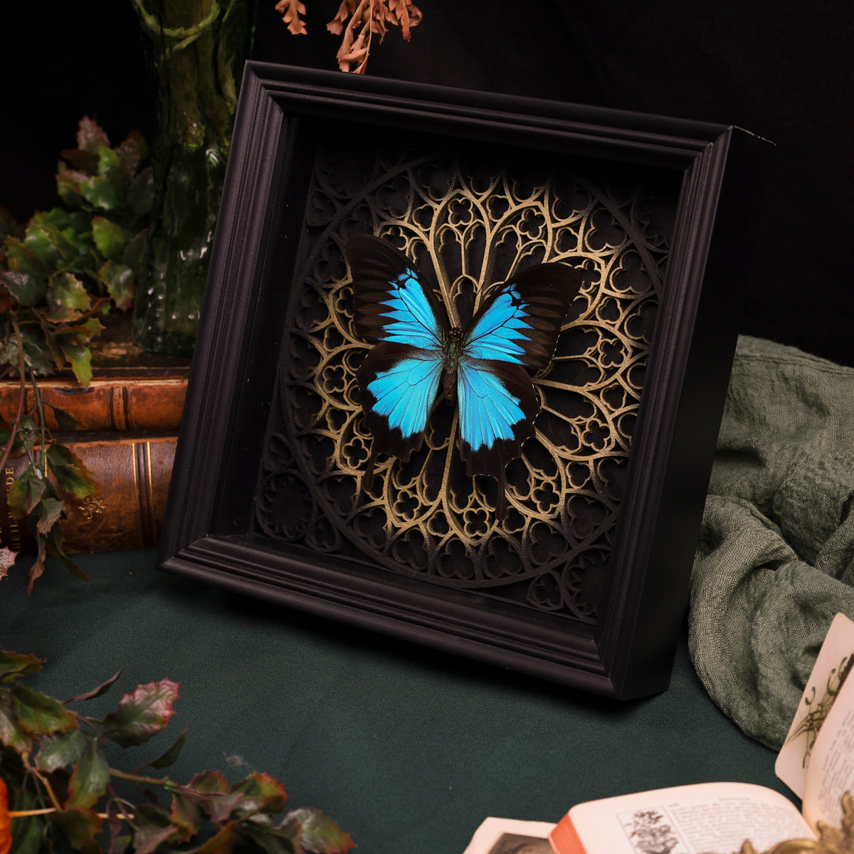 Papilio ulysses im schwarzen 3D-Rahmen mit Gotischem Hintergrund (Gold|Silber)