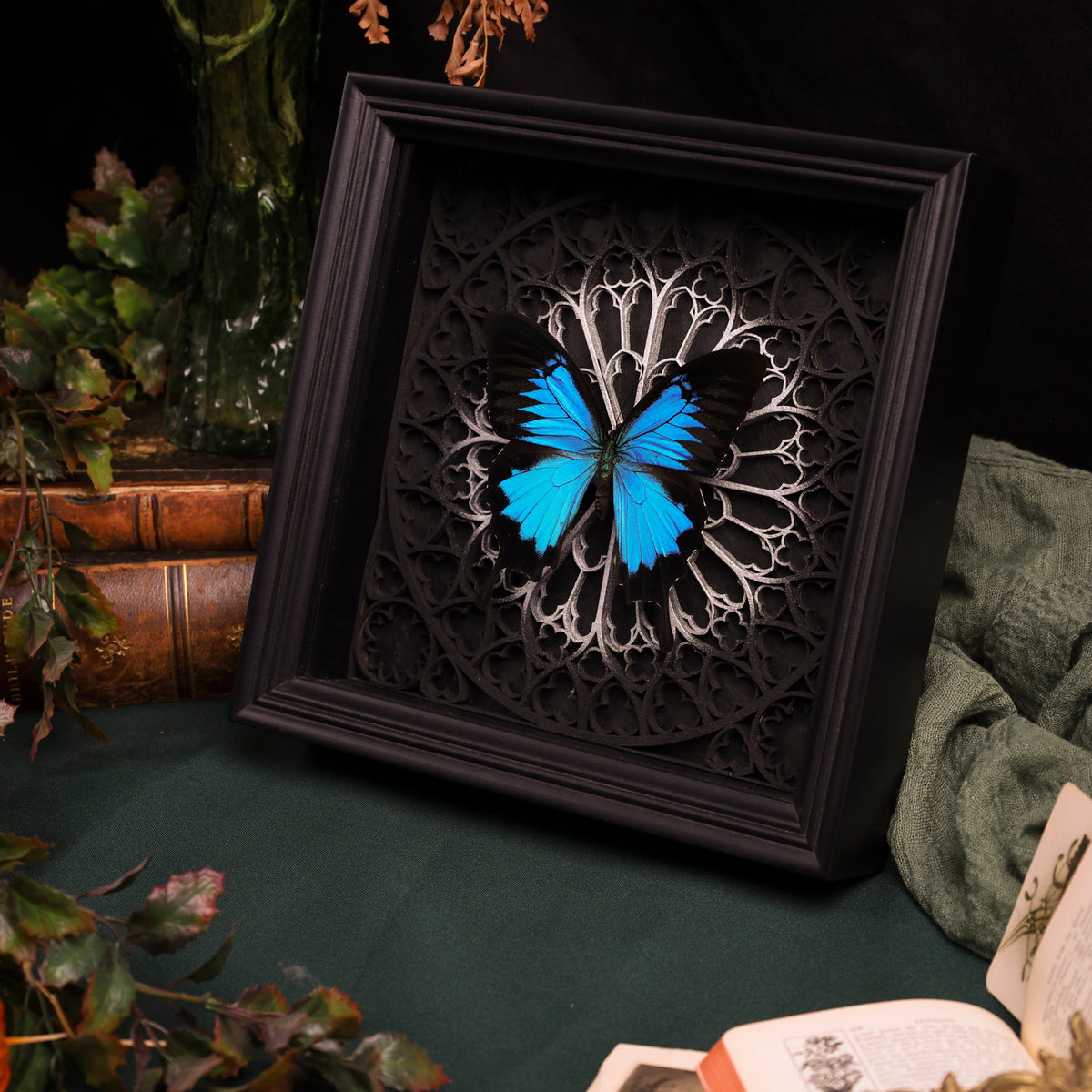 Papilio ulysses im schwarzen 3D-Rahmen mit Gotischem Hintergrund (Gold|Silber)