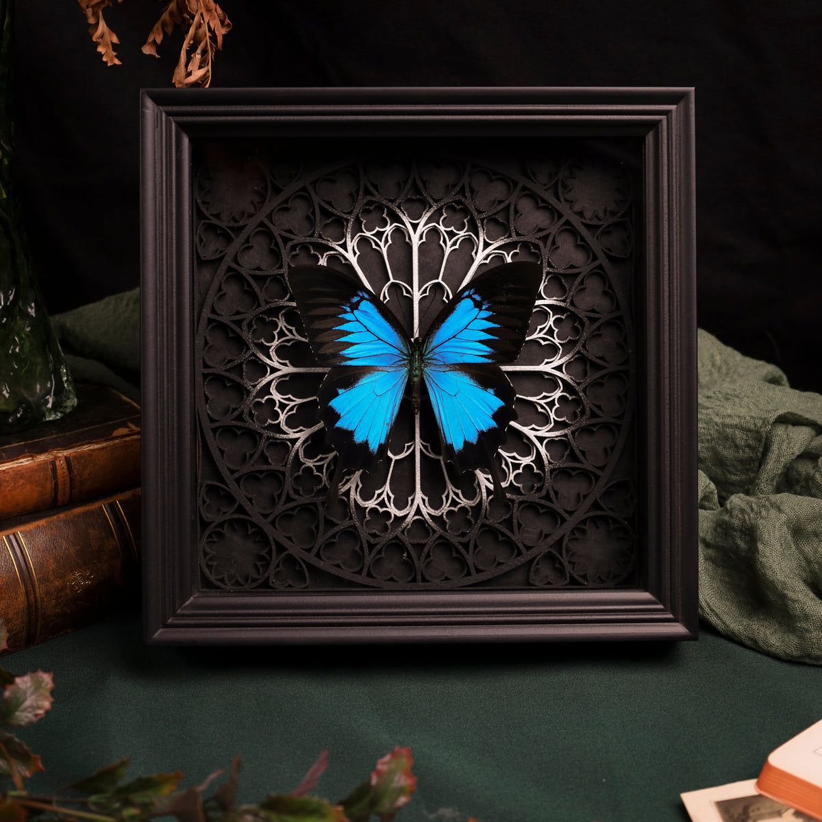 Papilio ulysses im schwarzen 3D-Rahmen mit Gotischem Hintergrund (Gold|Silber)