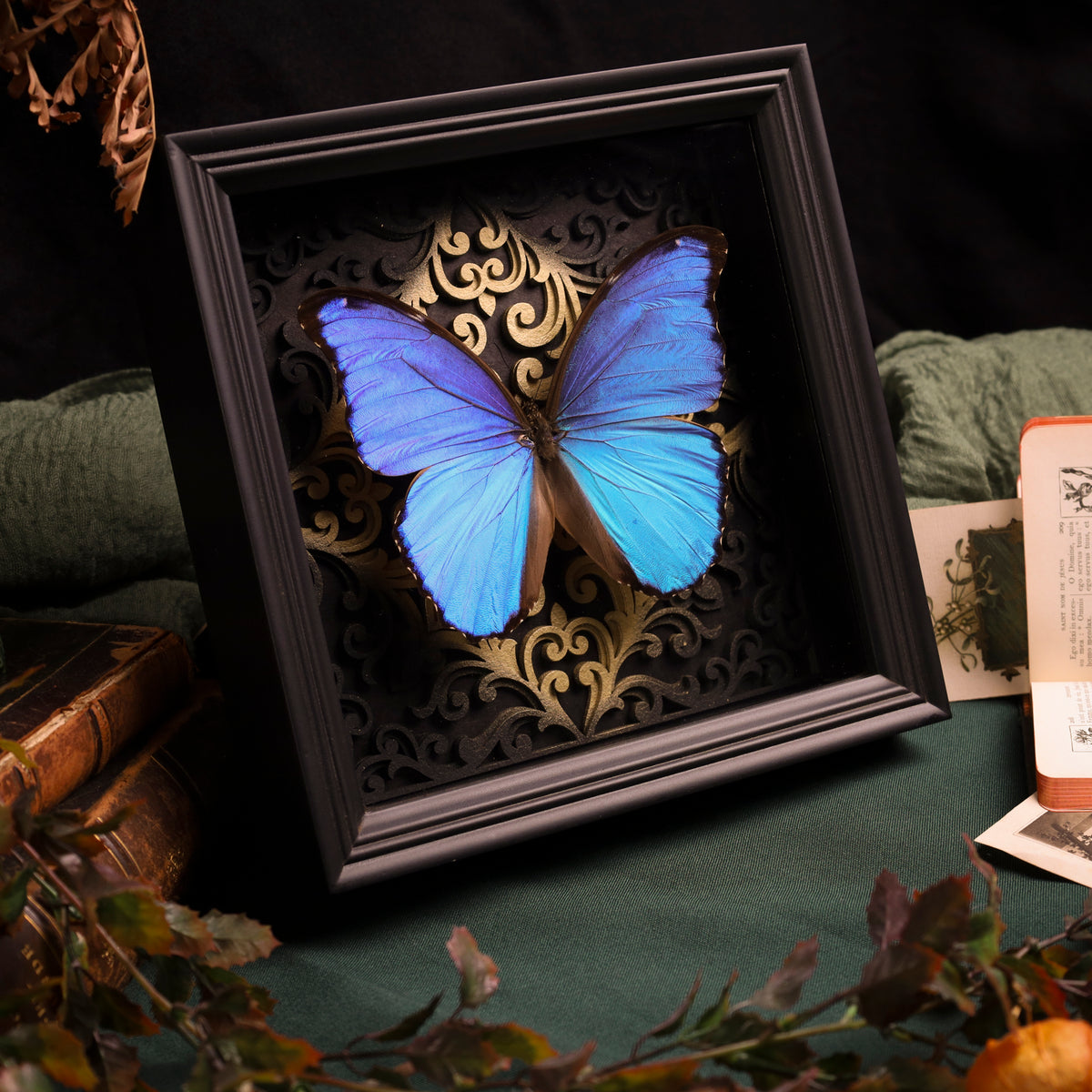 Morpho didius im Rahmen – Schmetterling auf gotischem Kathedralhintergrund