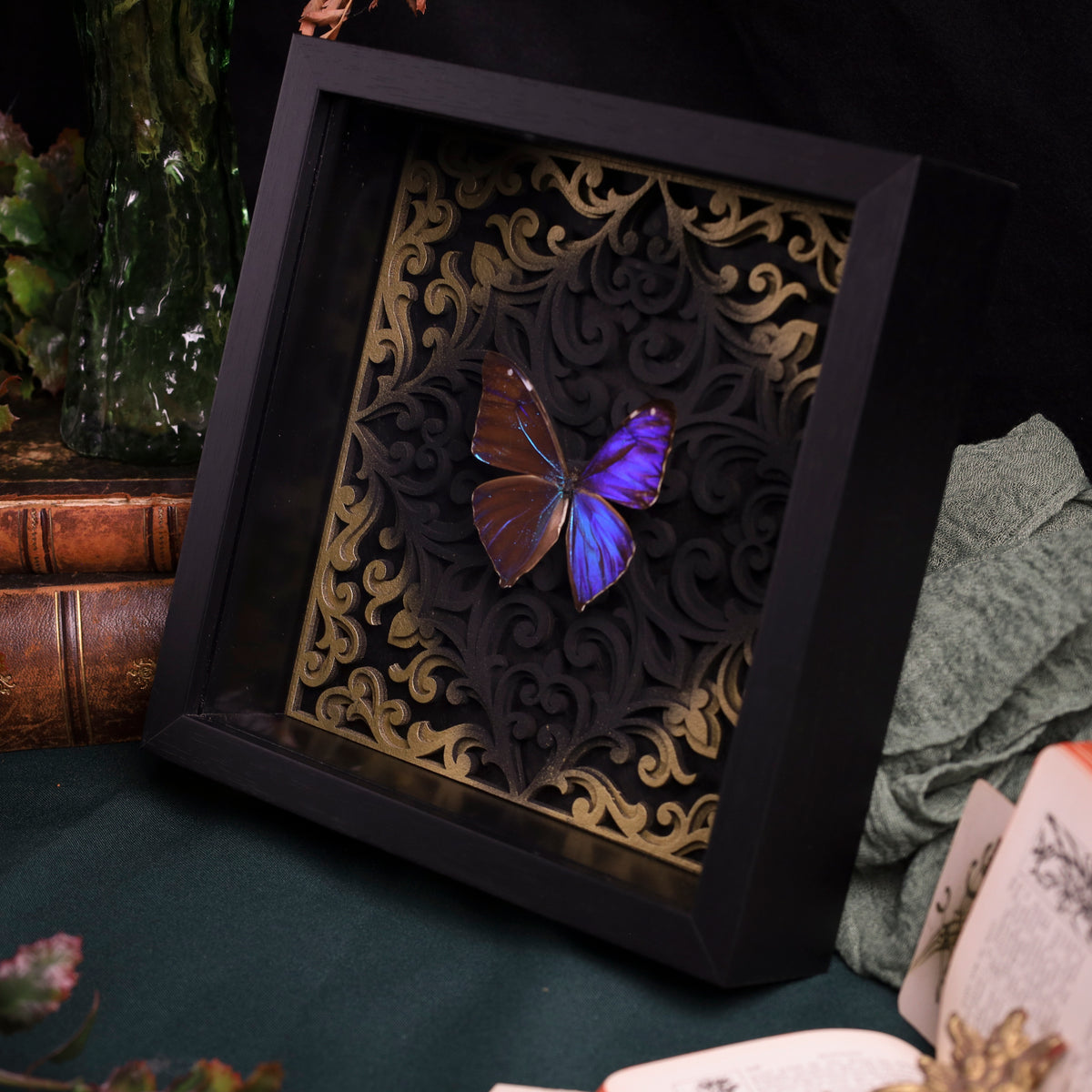 Morpho aega im Rahmen – Schmetterling auf barockem Hintergrund | 22x22cm
