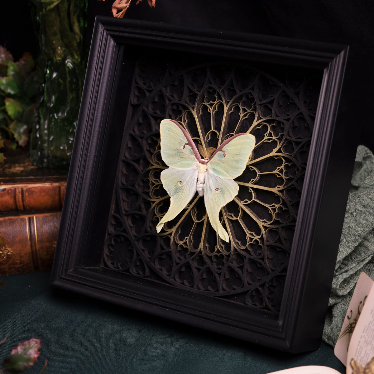 Actias luna im Rahmen – Nachtfalter auf gotischem 3D-Kathedralhintergrund, Gold oder SIlber