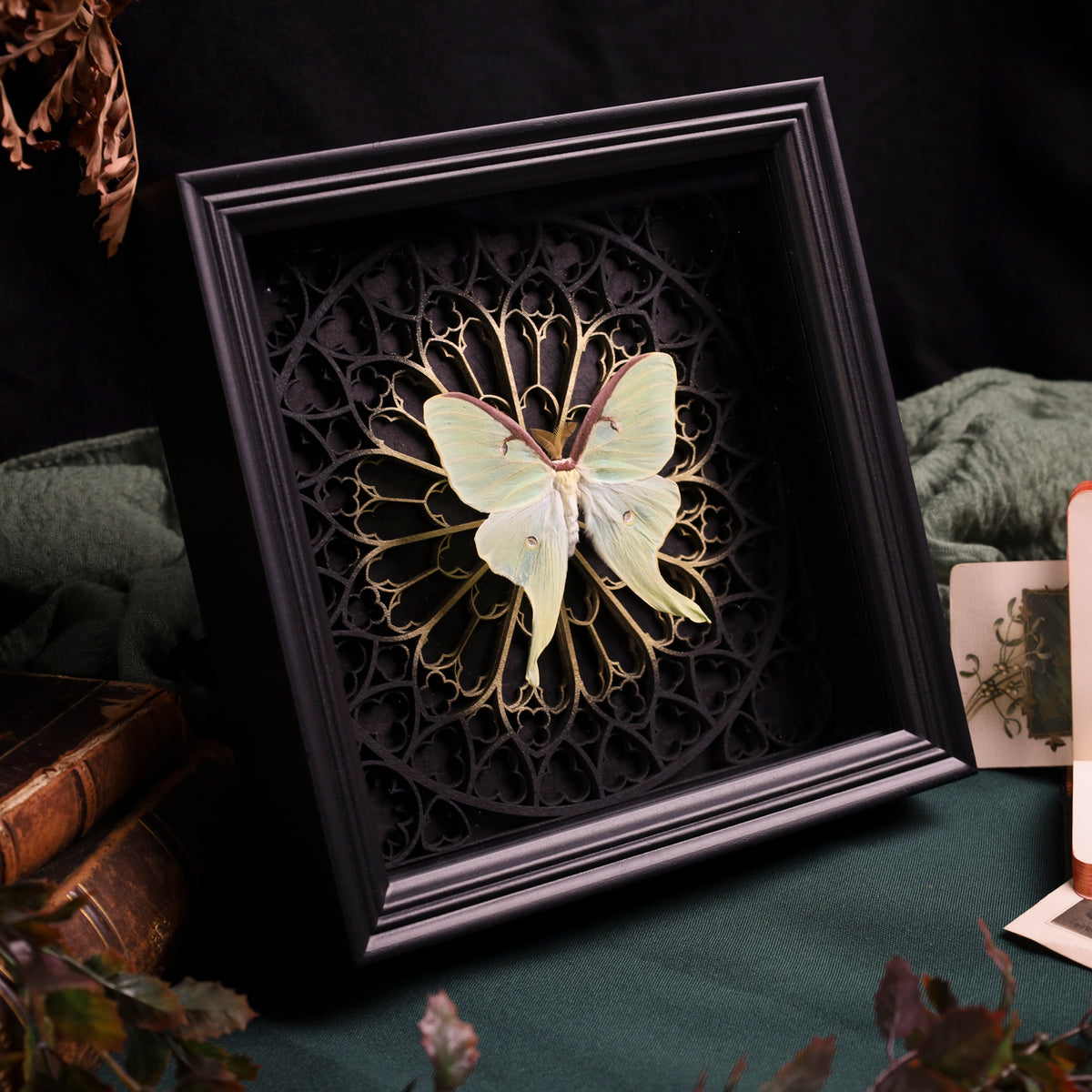 Actias luna im Rahmen – Nachtfalter auf gotischem 3D-Kathedralhintergrund, Gold oder SIlber