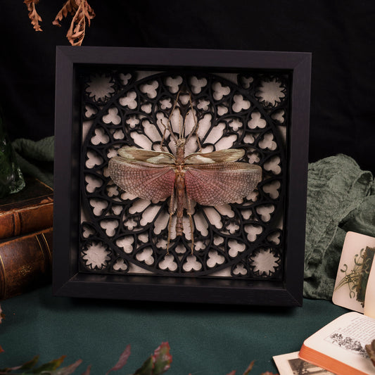 Heteropteryx dilatata im Rahmen – Gespenstschrecke auf gotischem Kathedralhintergrund | 22x22cm