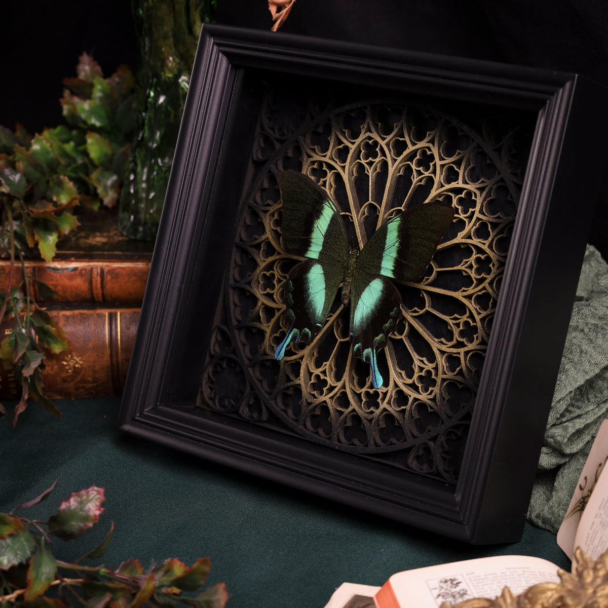 Papilio blumei im schwarzen 3D-Rahmen mit Gotischem Hintergrund (Gold|Silber)