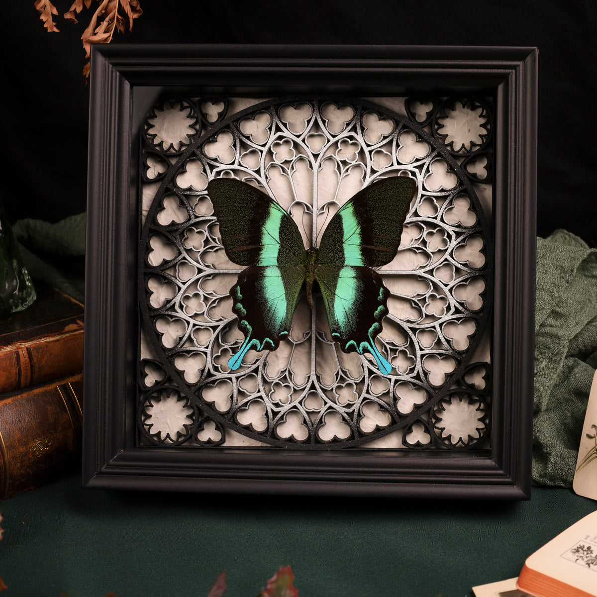 Papilio blumei im schwarzen 3D-Rahmen mit Gotischem Hintergrund (Gold|Silber)