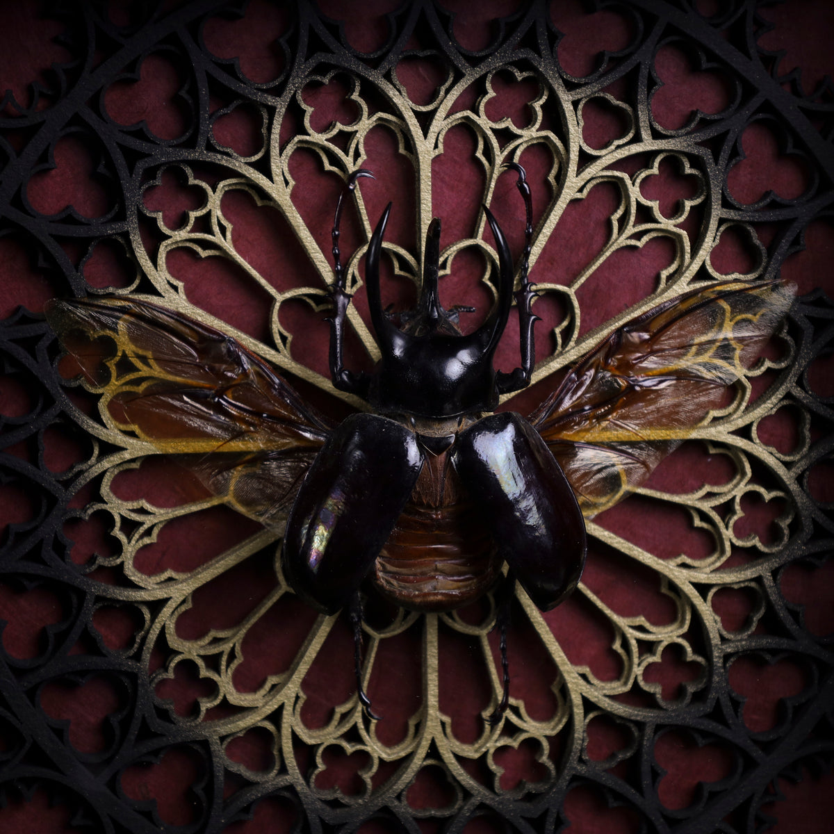 Chalcosoma atlas im Rahmen – Atlaskäfer auf gotischem 3D-Hintergrund Rot oder Gold