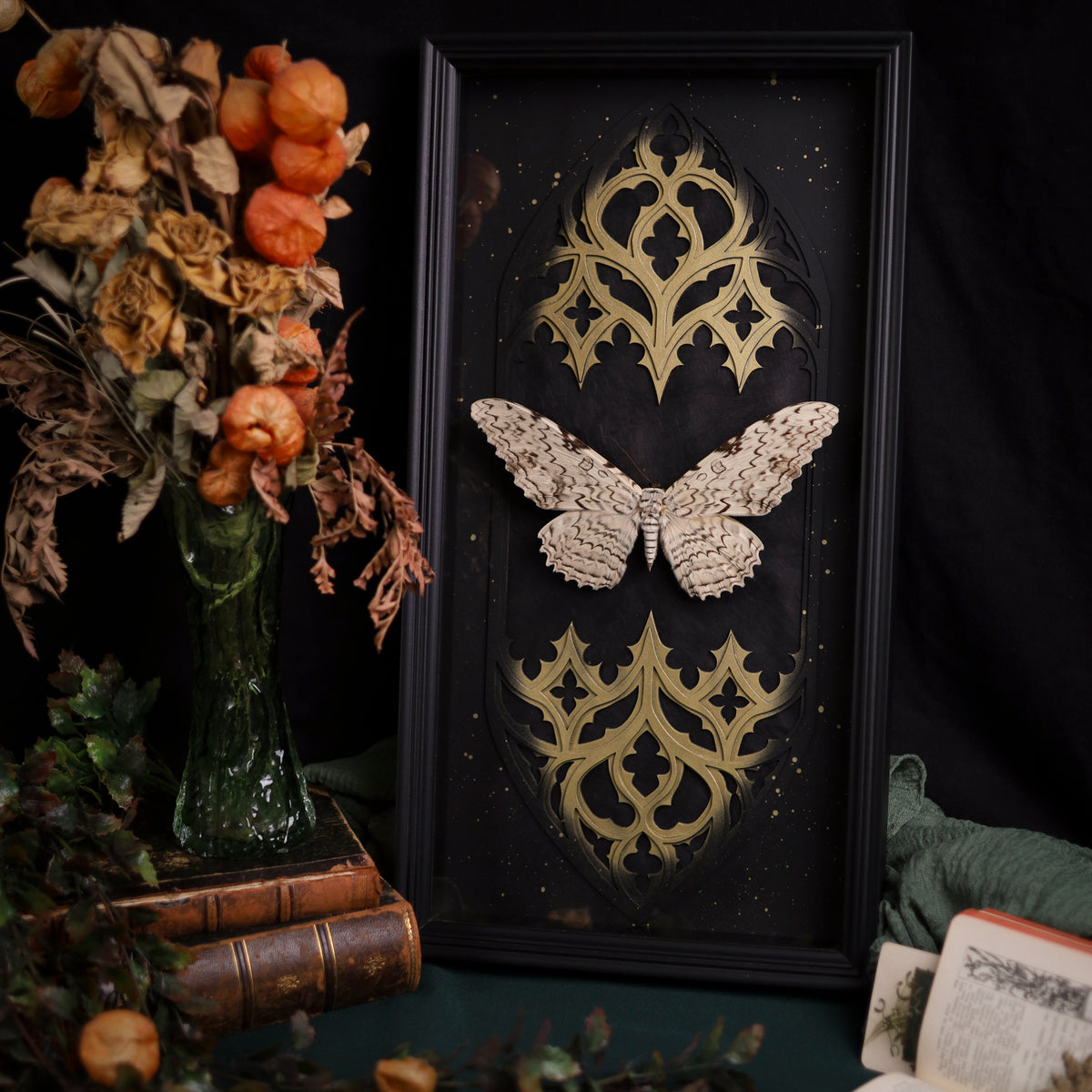 Thysania agrippina im 25 × 50 cm großen Masterpiece-Rahmen mit gotischem Doppelkathedralfenster und goldenem Akzent.