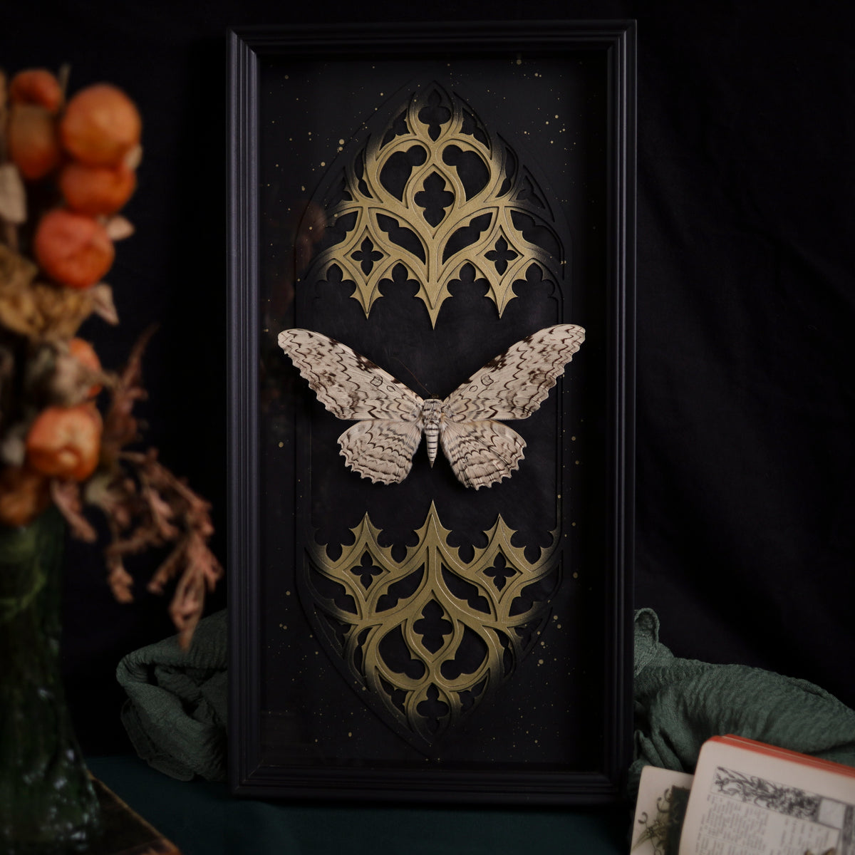 Thysania agrippina im Rahmen – Masterpiece „Weiße Hexe“ | Gold oder Silber | 25x50cm