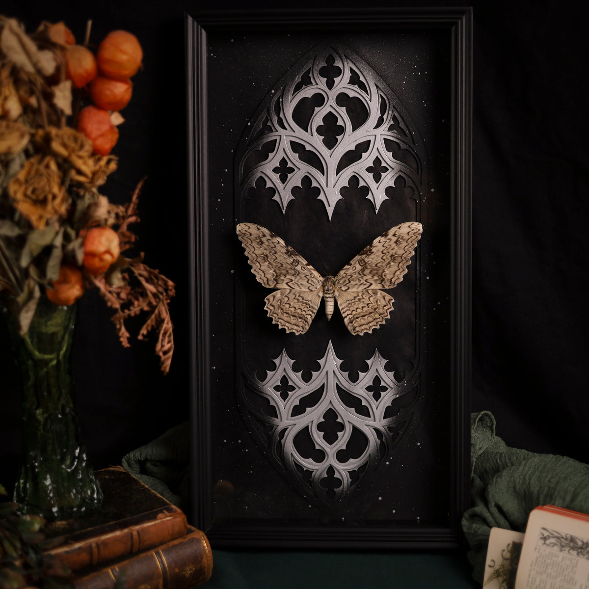 Thysania agrippina im Rahmen – Masterpiece „Weiße Hexe“ | Gold oder Silber | 25x50cm