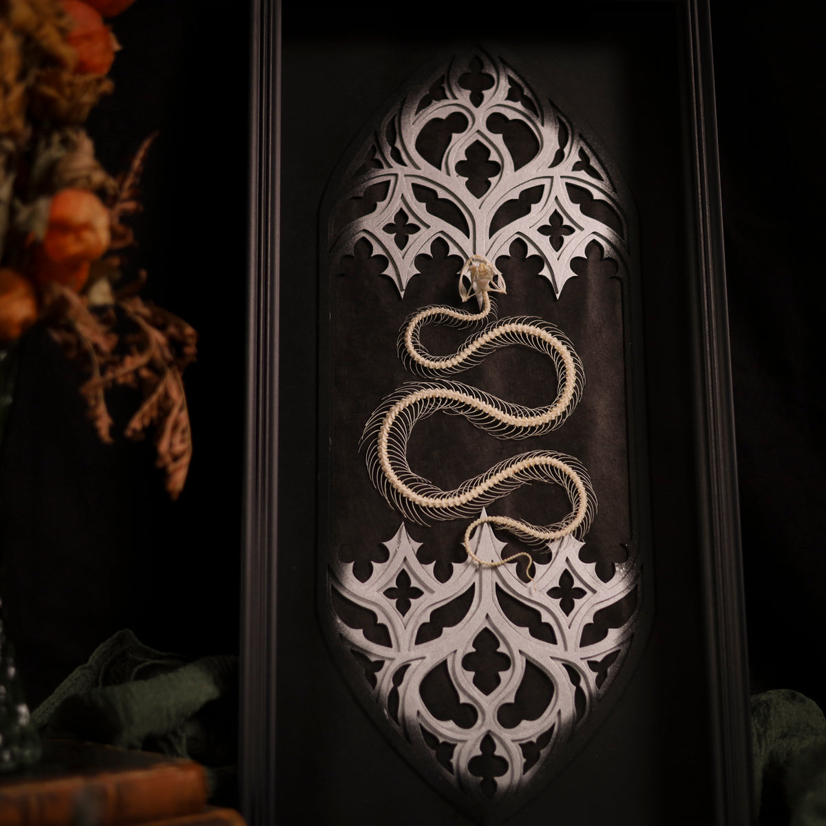Trimeresurus albolabris im Rahmen – Schlangenskelett Masterpiece in Silber | 25x50cm