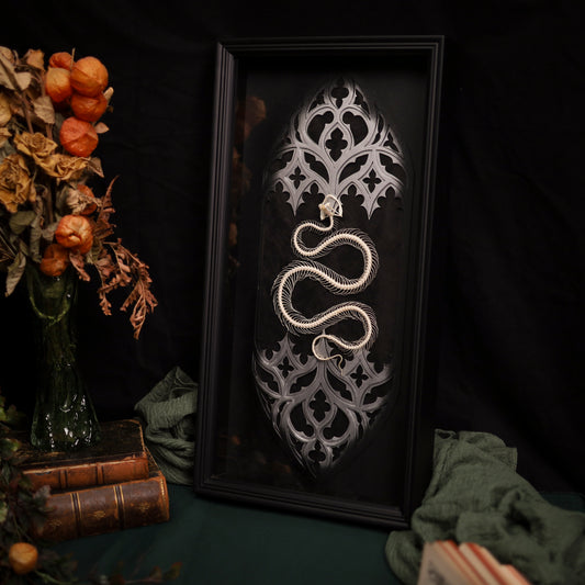 Trimeresurus albolabris im Rahmen – Schlangenskelett Masterpiece in Silber | 25x50cm