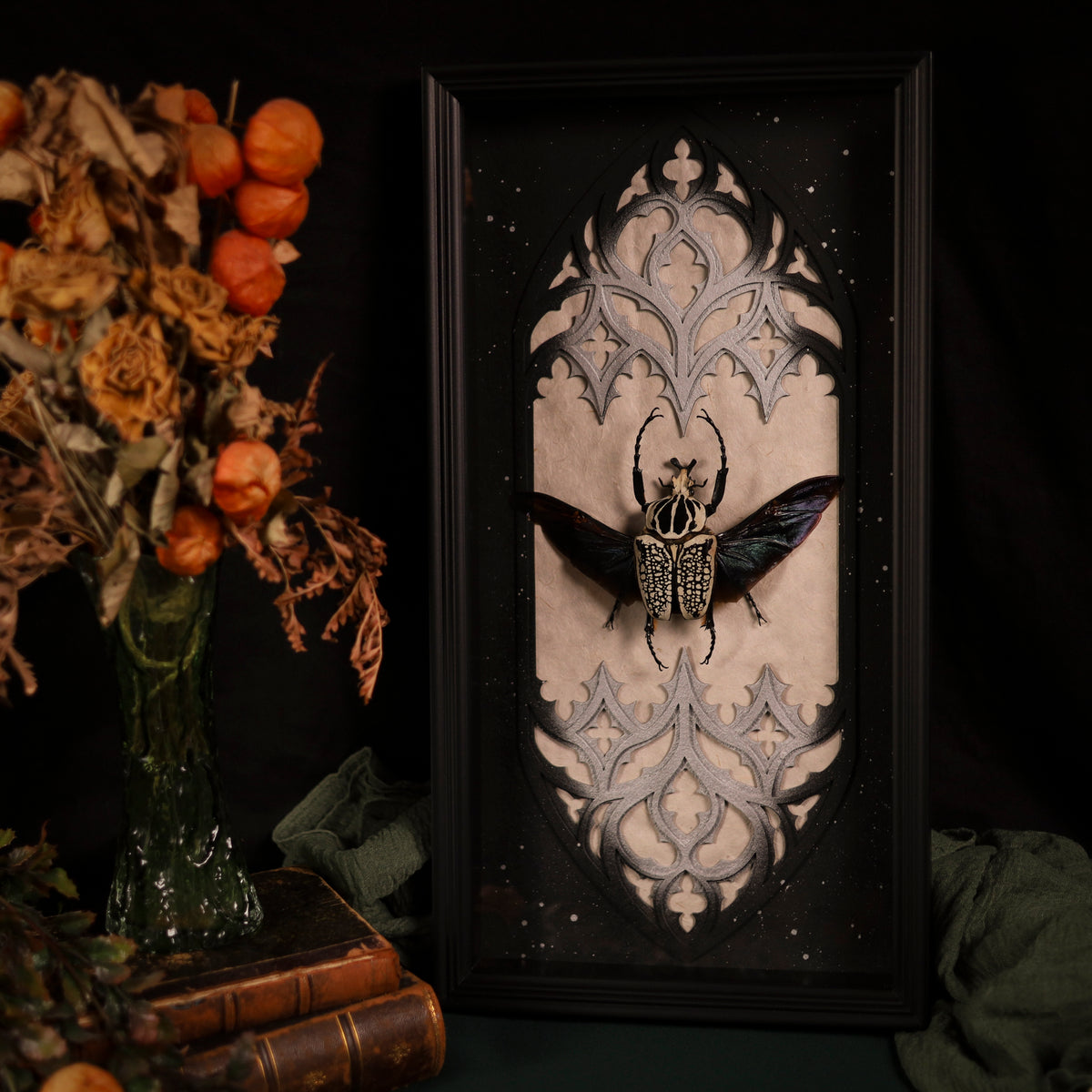 Goliathus orientalis im Rahmen – Goliathkäfer als Masterpiece | 25x50cm