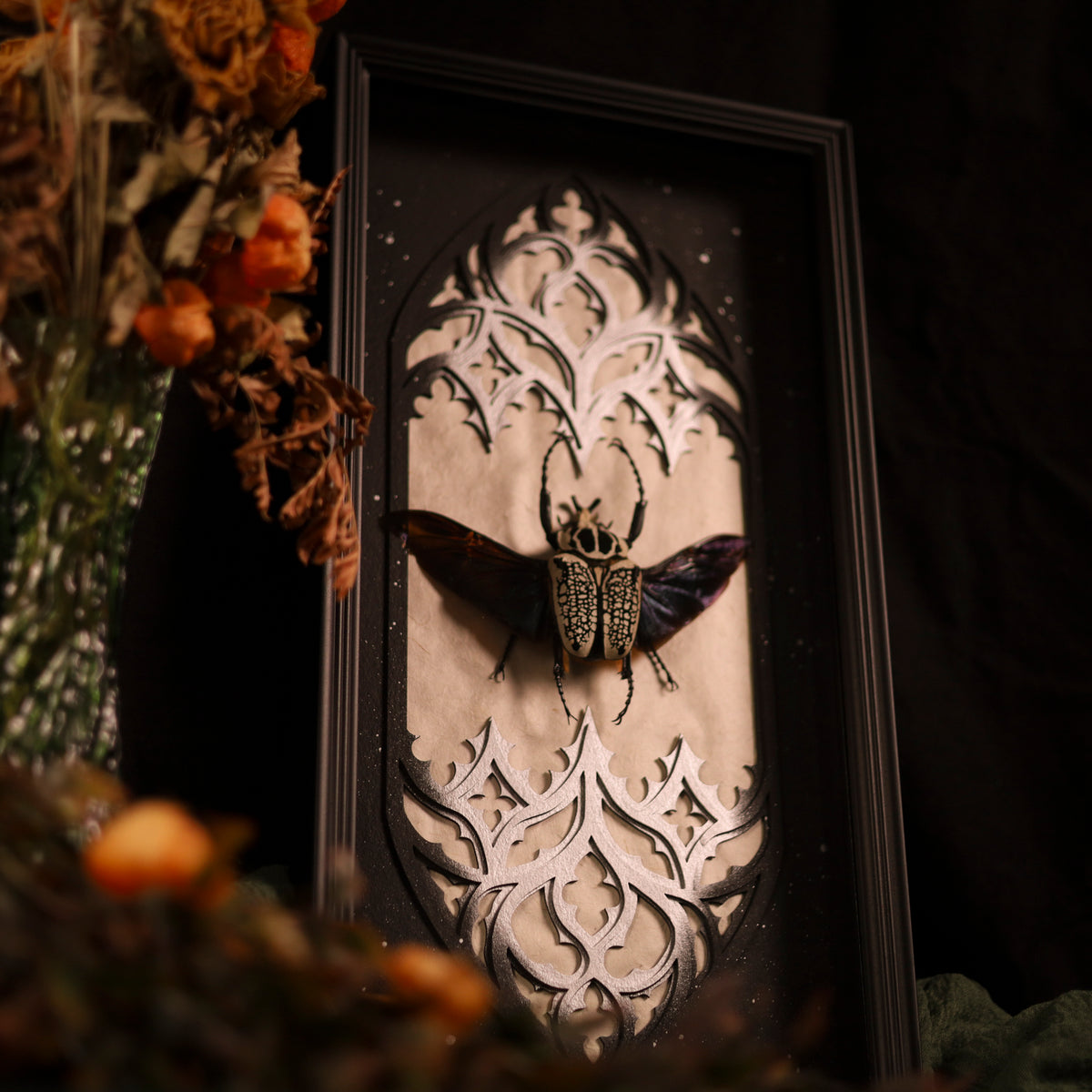 Goliathus orientalis im Rahmen – Goliathkäfer als Masterpiece | 25x50cm