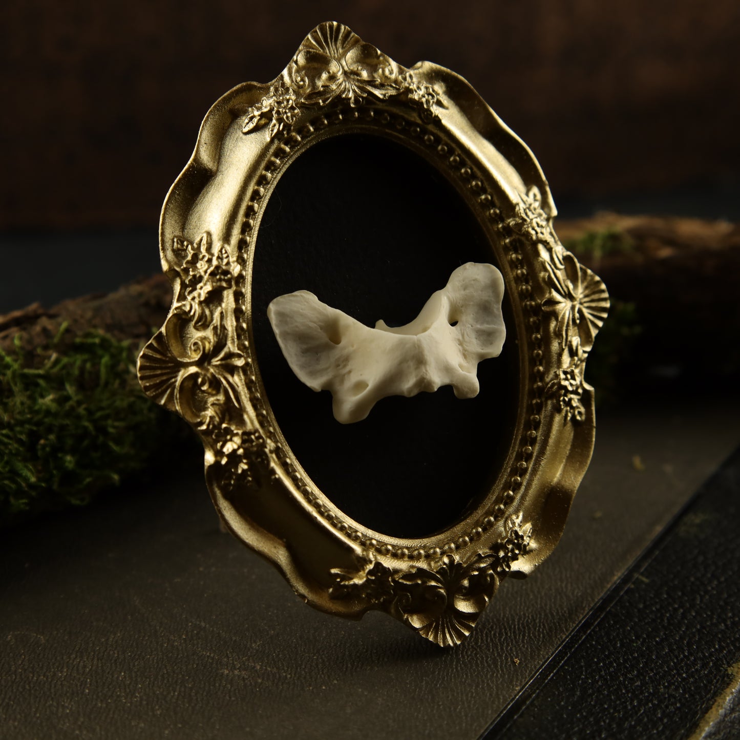 Fuchs-Atlaswirbel im goldenen Barockrahmen – Wanddekoration aus Knochen (mit Aufhängung)