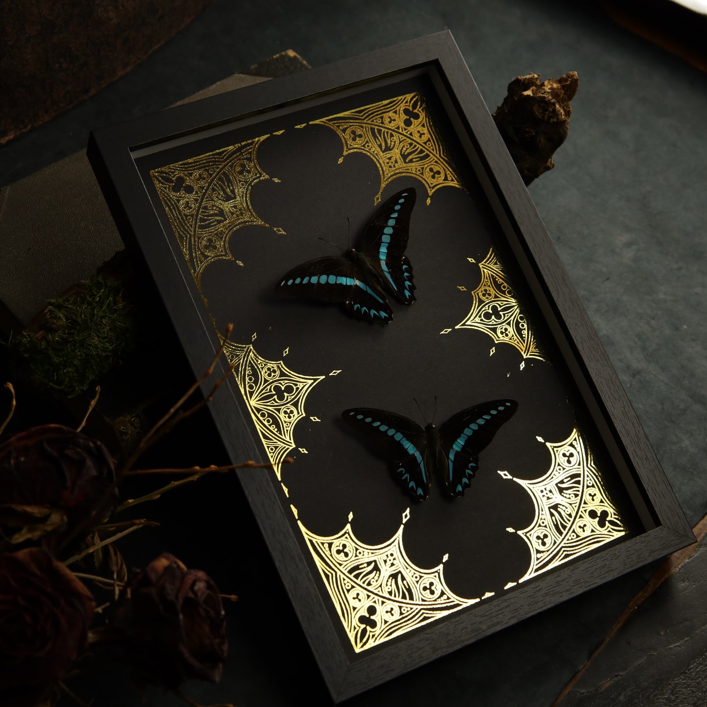 Graphium milon in a frame on a gold background