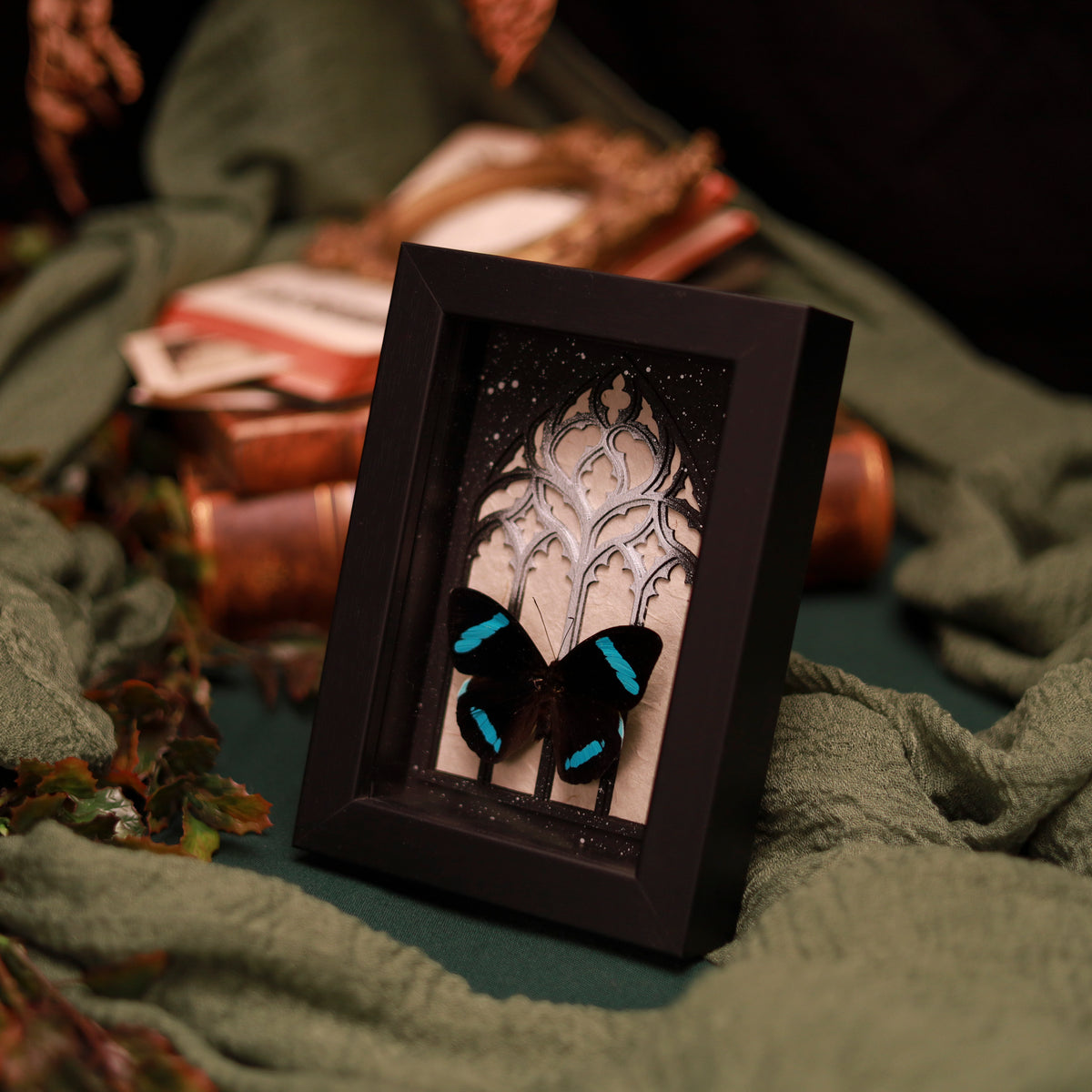 Nessaea hewitsoni –  im Kathedralrahmen | 10x15cm