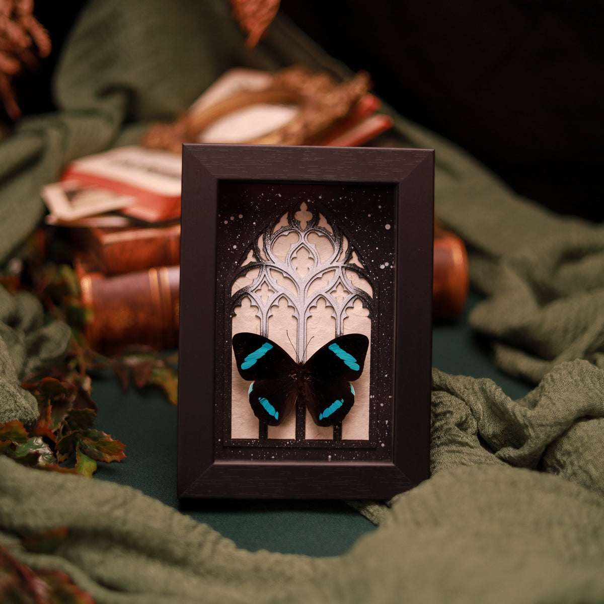 Nessaea hewitsoni –  im Kathedralrahmen | 10x15cm