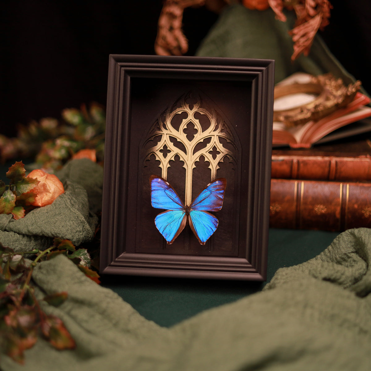Morpho aega im Rahmen – Schmetterling vor gotischem Kathedralfenster mit Goldakzent | 15x20cm