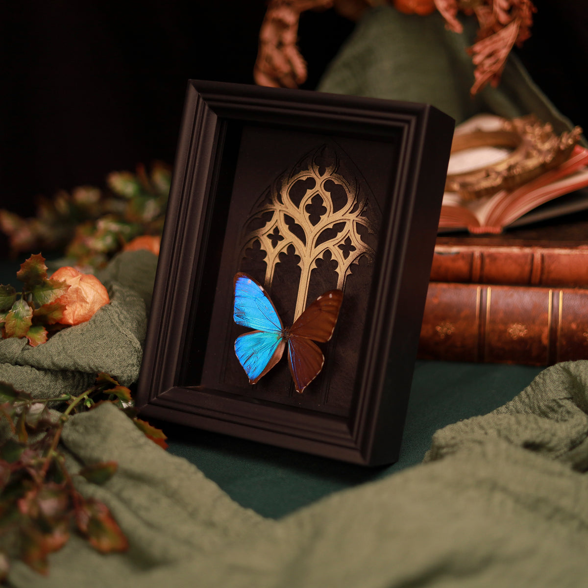 Morpho aega im Rahmen – Schmetterling vor gotischem Kathedralfenster mit Goldakzent | 15x20cm
