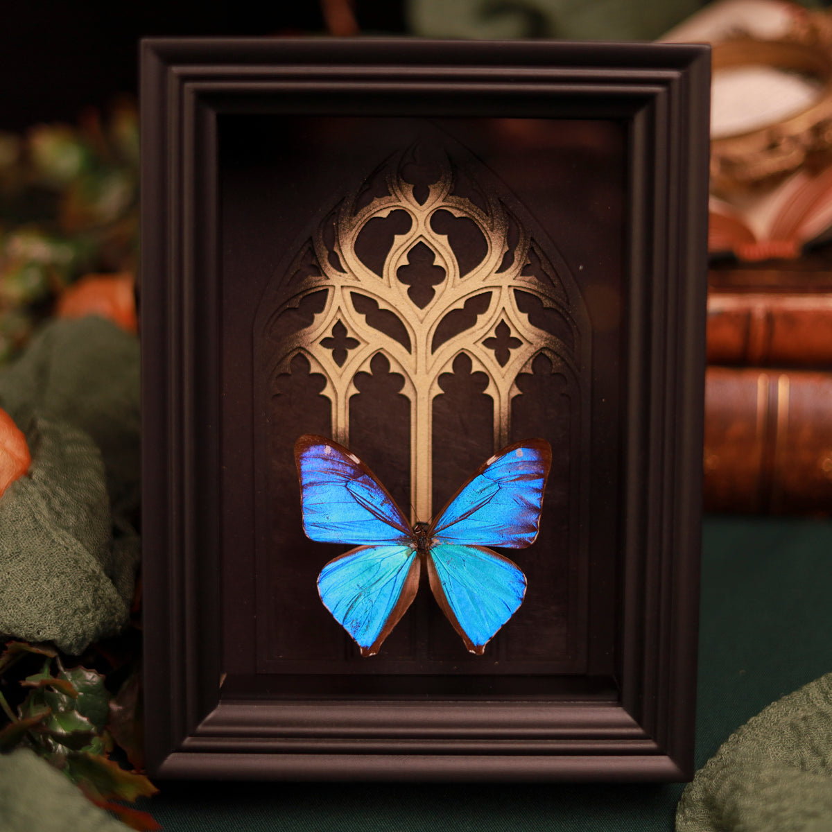 Morpho aega im Rahmen – Schmetterling vor gotischem Kathedralfenster mit Goldakzent | 15x20cm