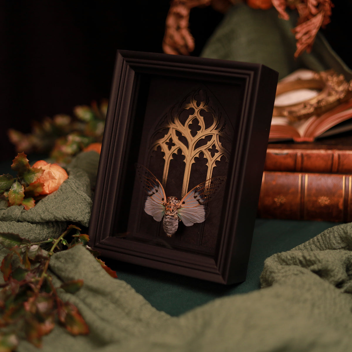 Ayuthia spectabile – Zikade im Kathedralrahmen mit Goldakzent