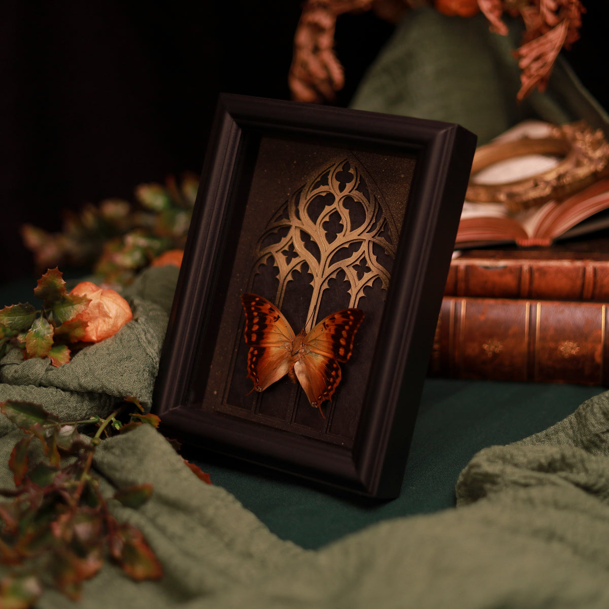 Charaxes andranodorus im Rahmen – Gotische Naturkunst mit Goldakzent