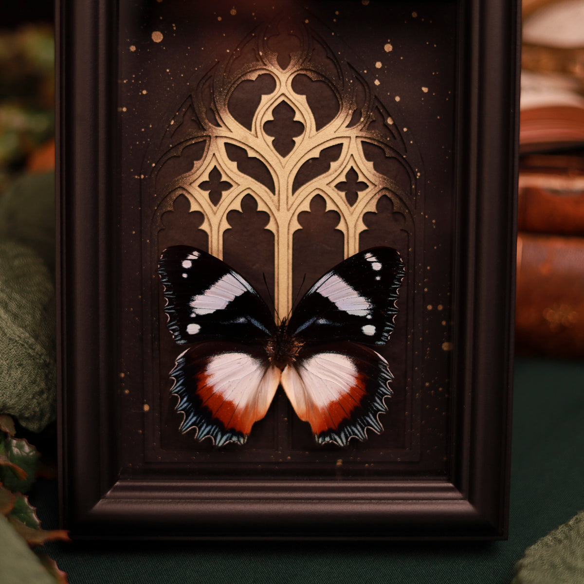Hypolimnas dexithea – Edelfalter im Kathedralrahmen mit Gold oder Silber | 15x20cm