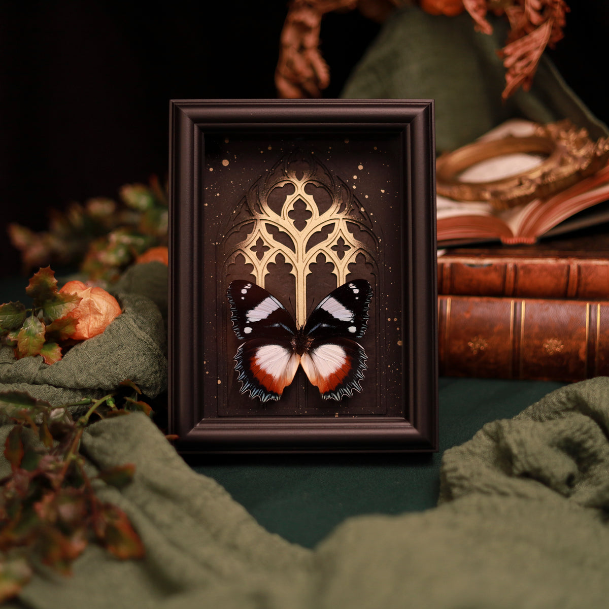Hypolimnas dexithea – Edelfalter im Kathedralrahmen mit Gold oder Silber | 15x20cm