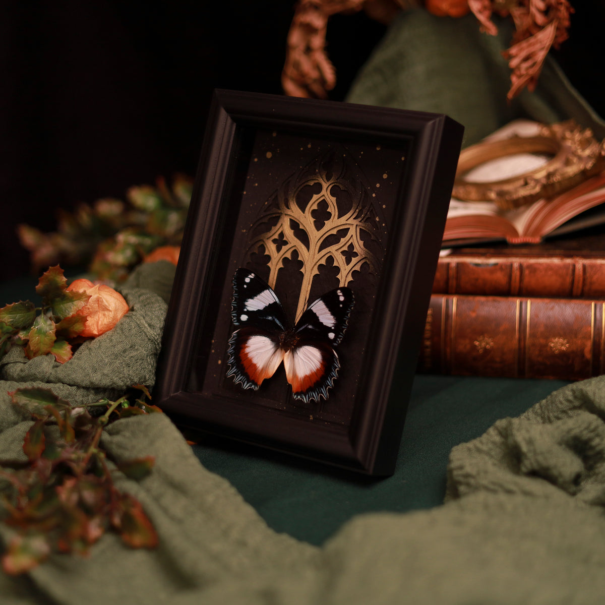 Hypolimnas dexithea – Edelfalter im Kathedralrahmen mit Gold oder Silber | 15x20cm