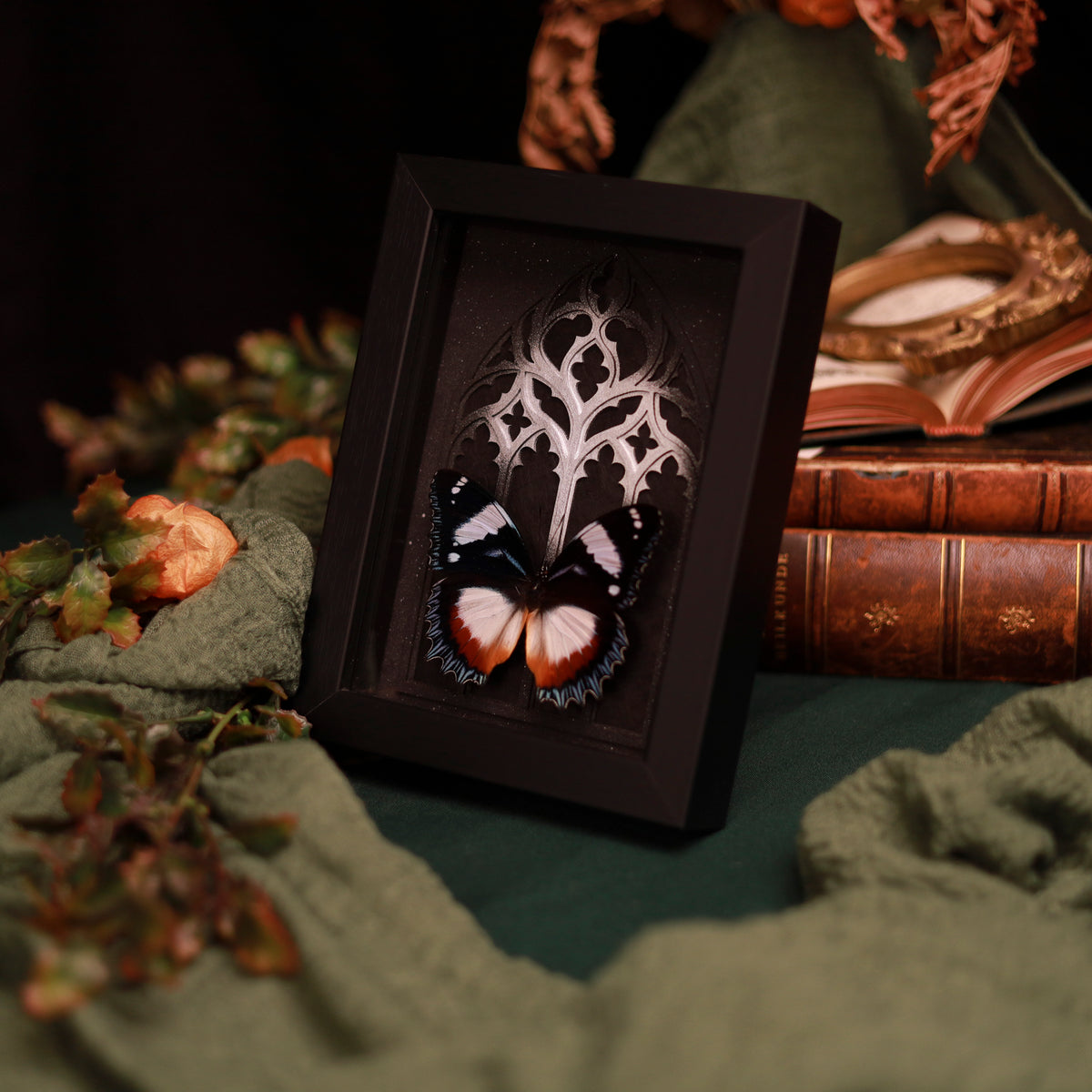 Hypolimnas dexithea – Edelfalter im Kathedralrahmen mit Gold oder Silber | 15x20cm