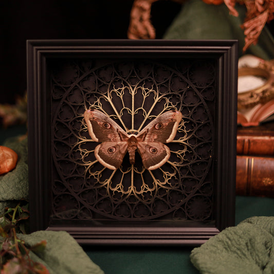 Saturnia pyri mit ausgebreiteten braunen Flügeln und vier Augenflecken im schwarzen Rahmen vor einem gotischen 3D-Motiv mit goldfarbenen Akzenten.