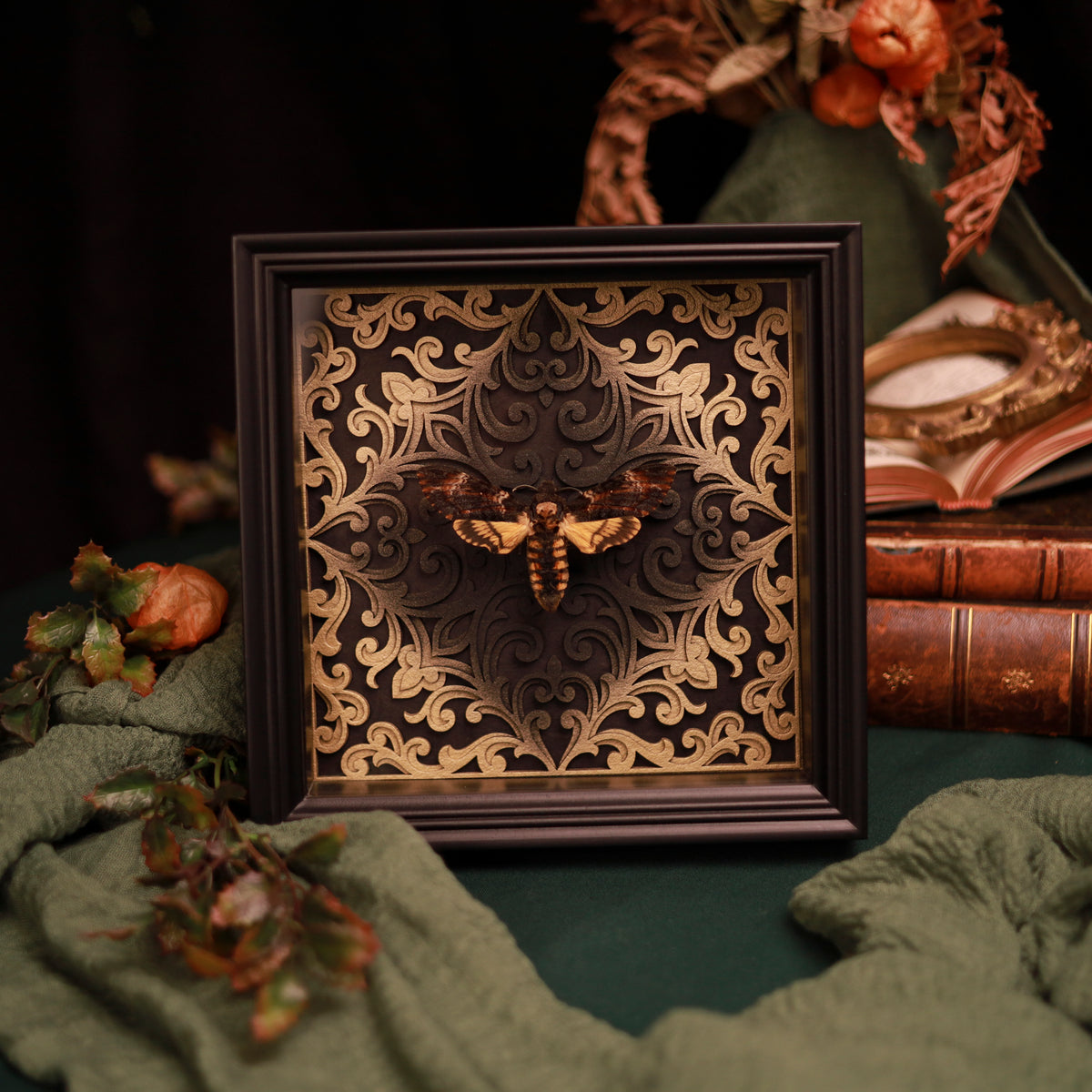 Totenkopfschwärmer im Rahmen – Acherontia atropos mit 3D-Barockhintergrund