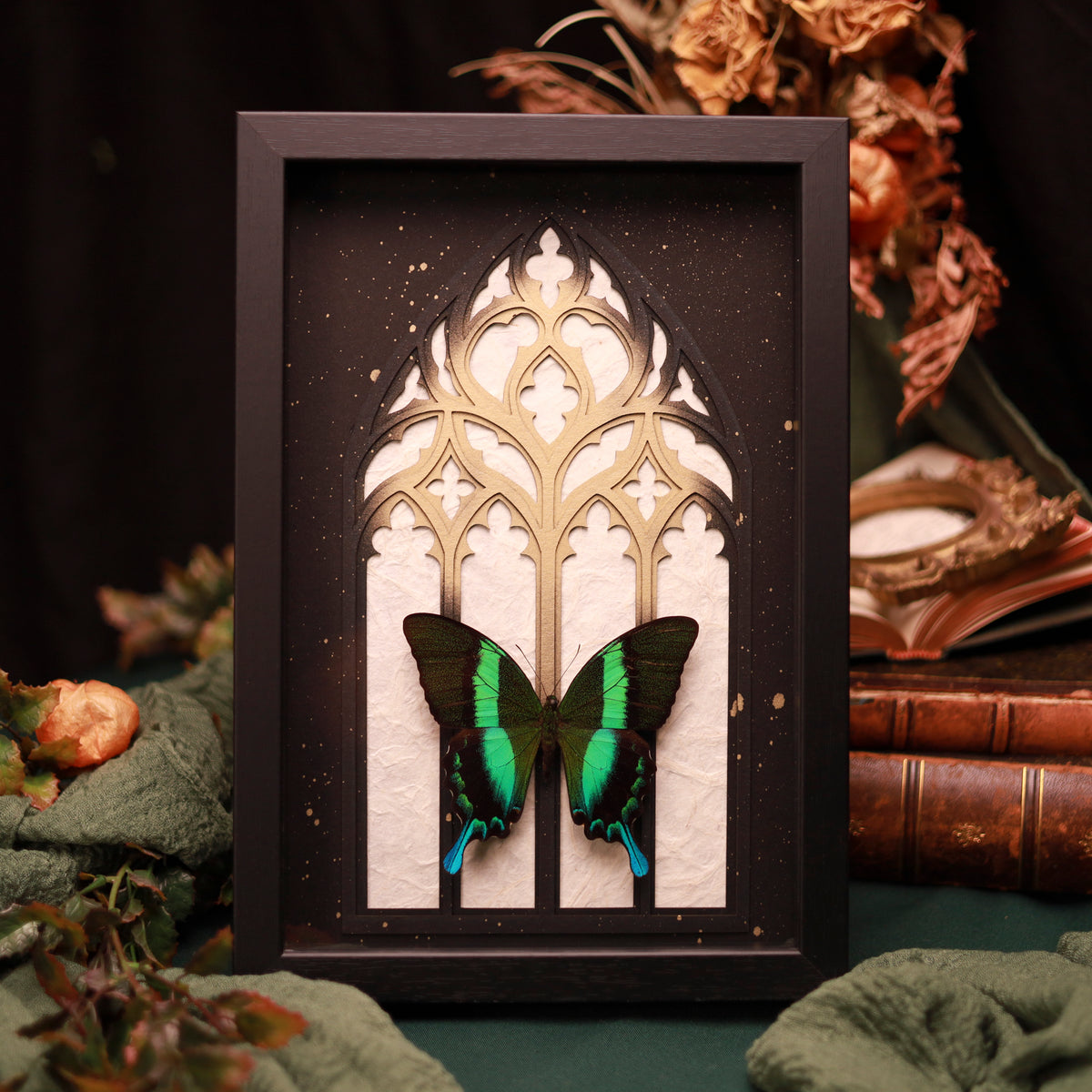 Papilio blumei im Rahmen – Schmetterling vor gotischem Kathedralfenster | 20x30cm