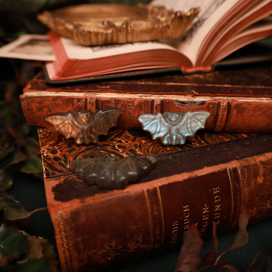Graue Labradorit-Fledermaus mit ausgebreiteten, strukturierten Flügeln und bläulich-türkisen Reflexen, vor alten Büchern arrangiert.