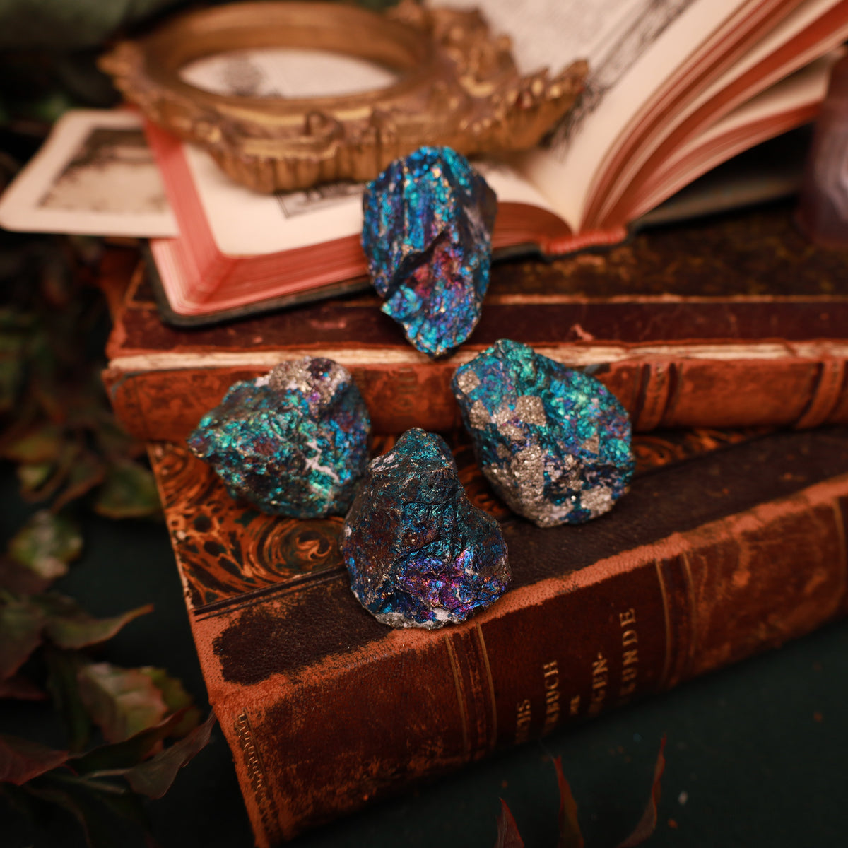 Vier unregelmäßige Chalkopyrit-Stücke mit metallisch schimmernden blauen, türkisen, violetten und goldfarbenen Partien auf alten Büchern.