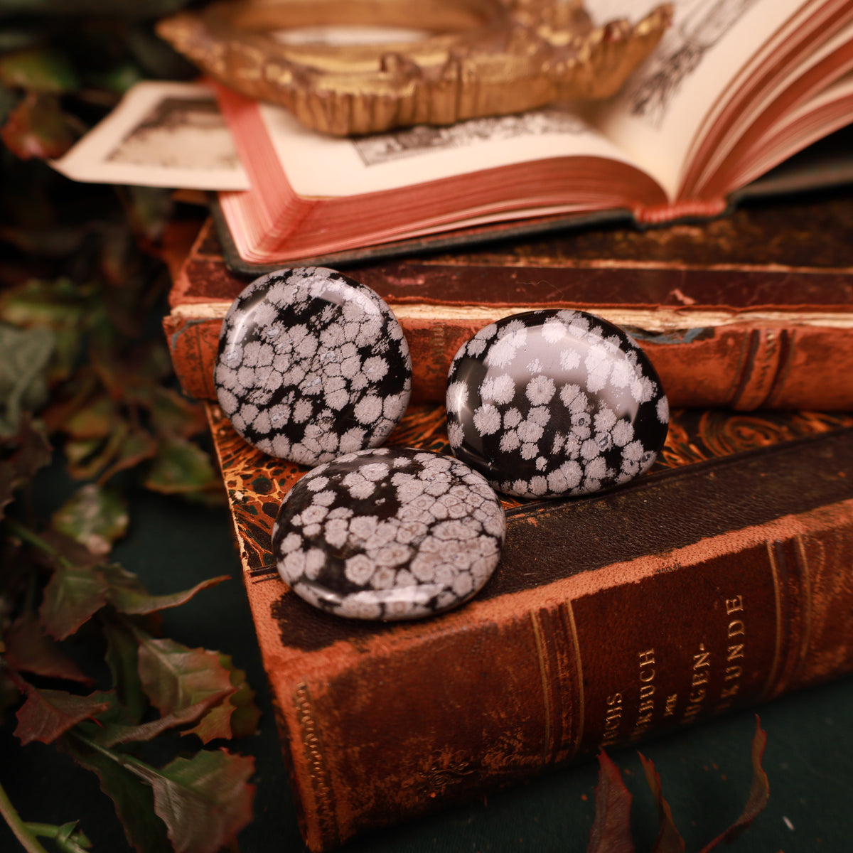 Drei glänzende Handschmeichler aus Schneeflockenobsidian auf einem Bücherstapel. Die schwarzen, runden Steine zeigen unterschiedlich dicht verteilte helle Muster.