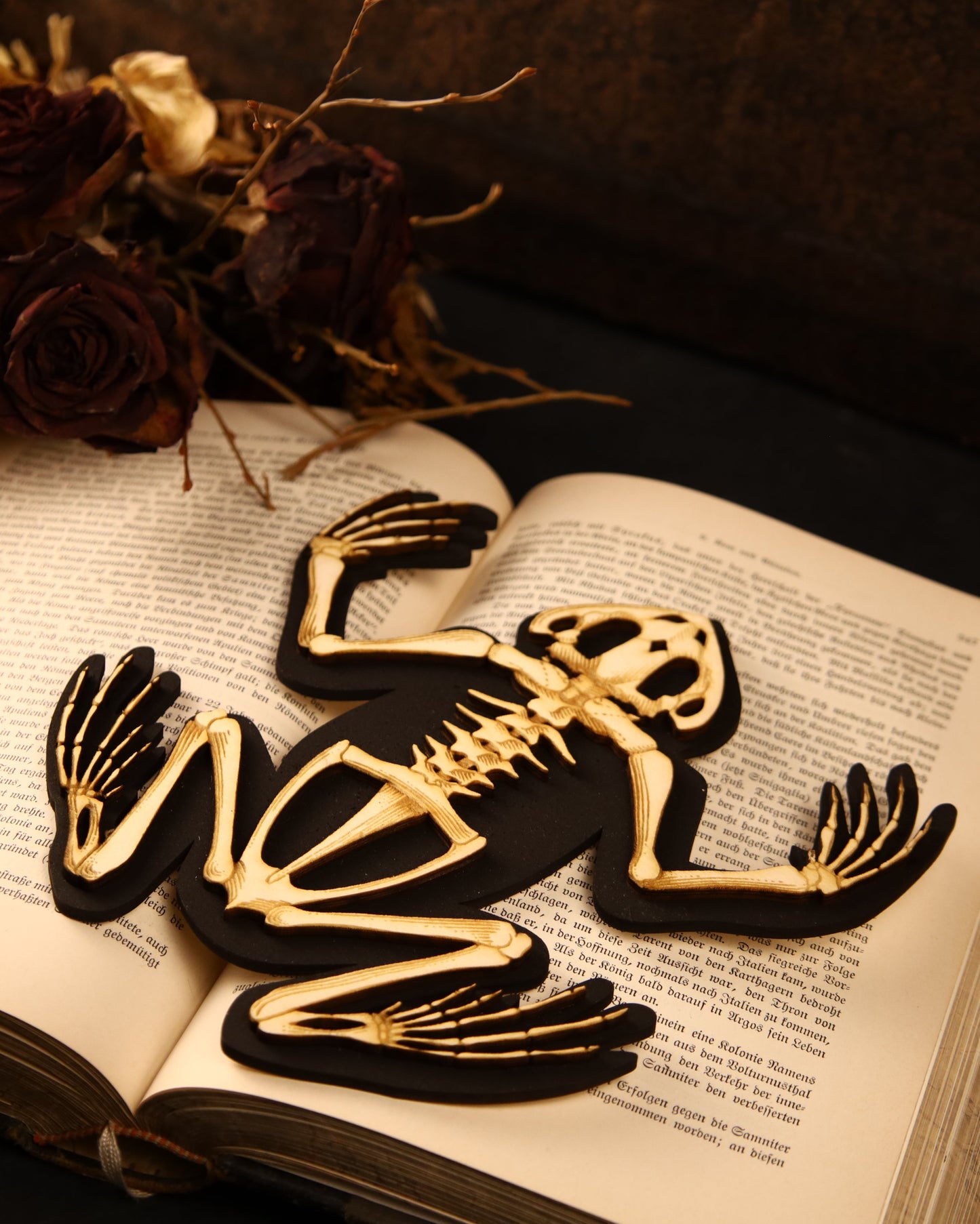 Wooden frog skeleton | Vegan taxidermy