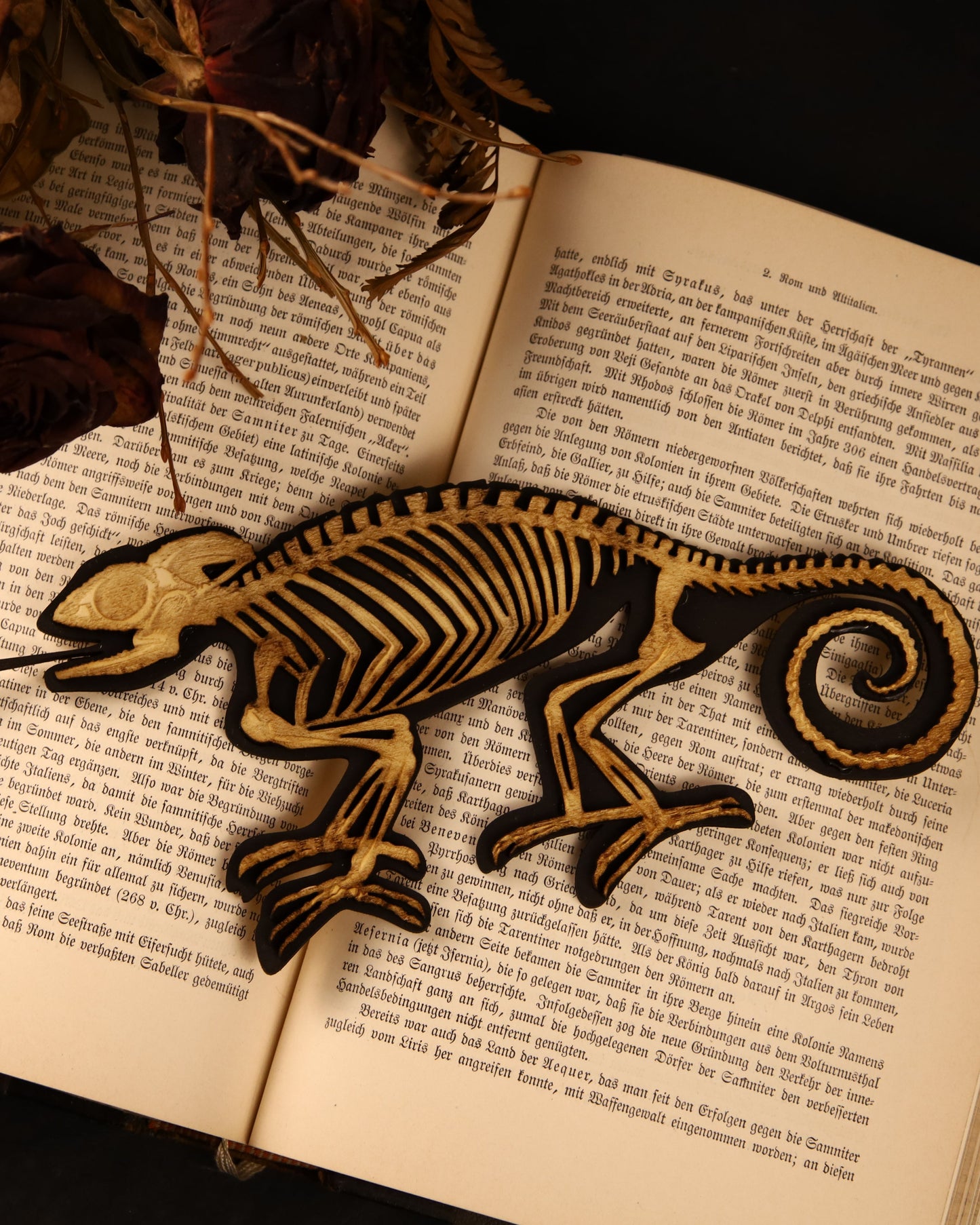 Chameleon skeleton made of wood | Vegan taxidermy