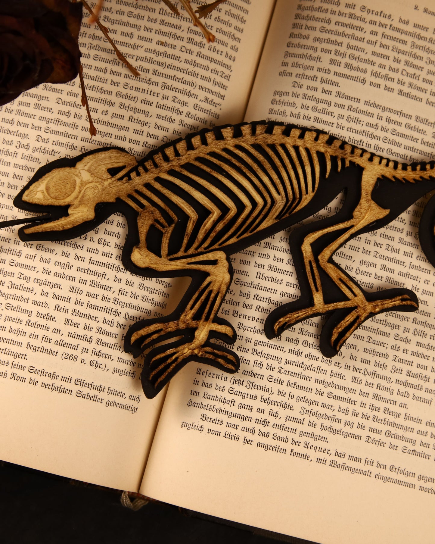 Chameleon skeleton made of wood | Vegan taxidermy