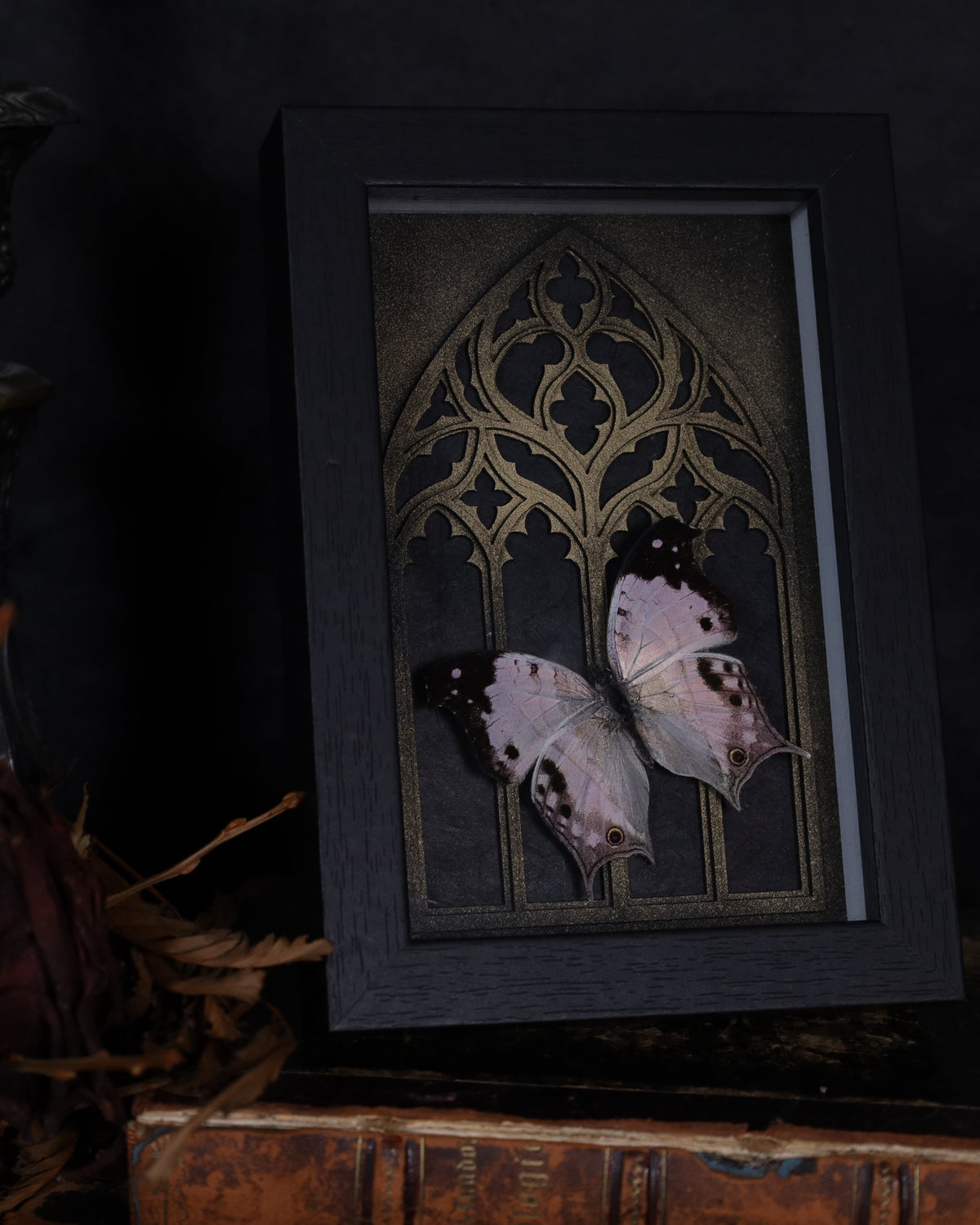 Echter Salamis duprei im schwarzen 3D-Rahmen mit gold-bronzefarbenem gotischem Hintergrund. Handgefertigtes Naturkunstwerk, 18 x 13 cm.