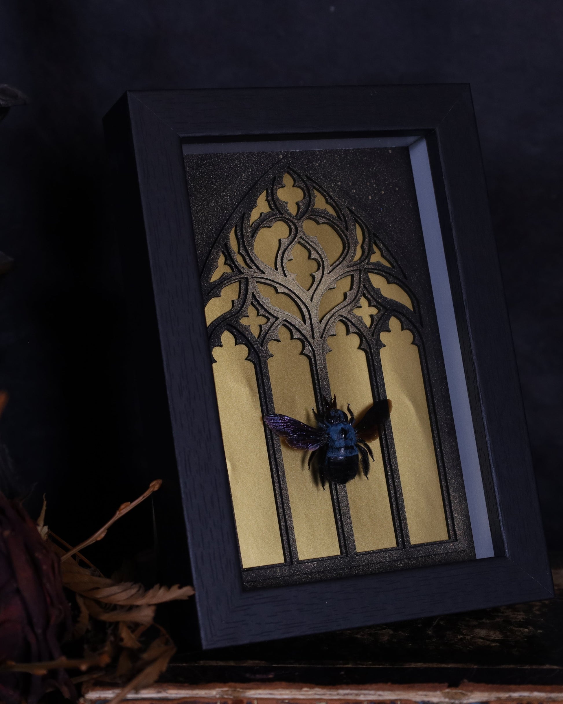 Echte Xylocopa violacea im handgefertigten schwarzen Rahmen. Europäische Holzbiene mit schimmernden Flügeln – Insektenkunst in 18 x 13 cm.